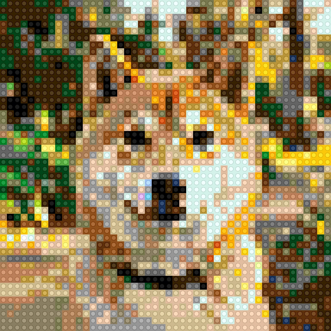 Pet portrait